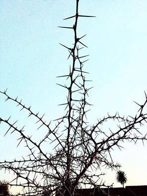 <하나님 나라>