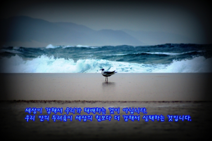 베드로가 부인한 이유