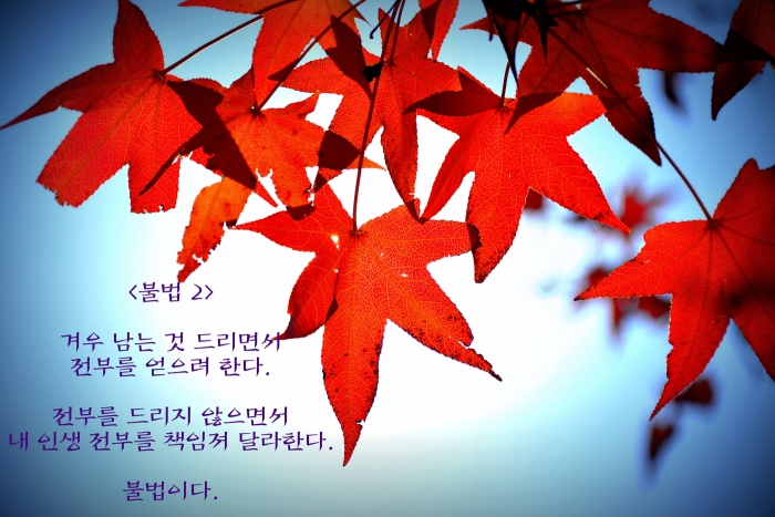 <불법 2>