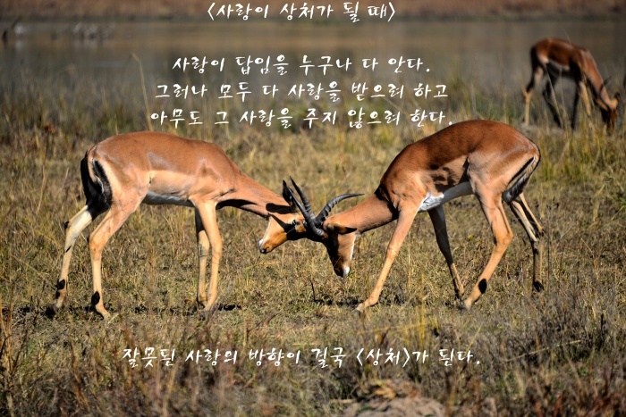 <사랑이 상처가 될 때>