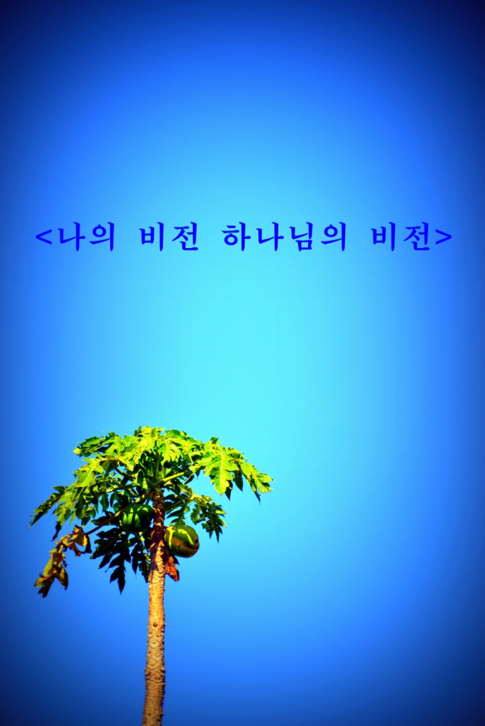 <나의 비전 하나님의 비전>